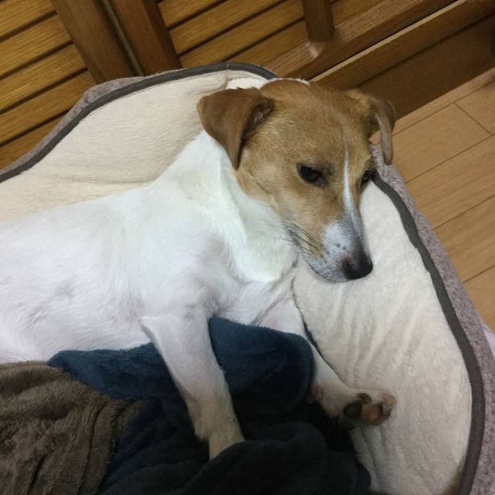 A48891b4 b53d 4701 ad85 c46afaaa18d3 1541072795253