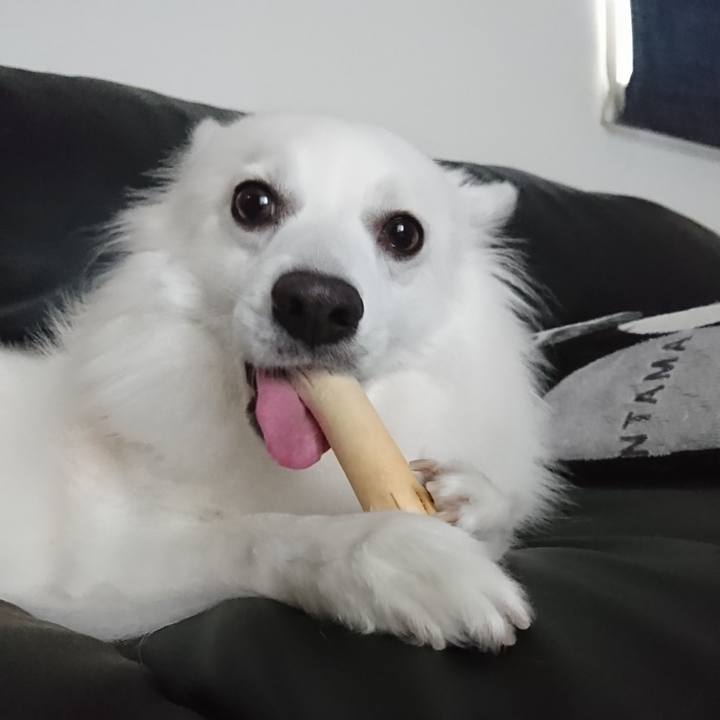 A488d40a 52bb 4c5e b7c2 9b63e5169d2a 1572060372207