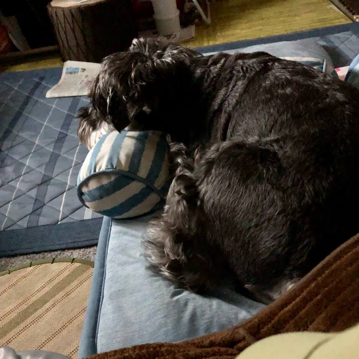 A488d86c ee55 499b 8806 671cc0ab6bdc 1688740001163