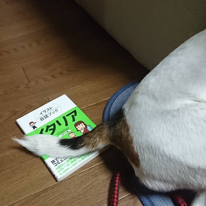 A488df31 b692 4ca0 937a 94958222e274 1568288151597