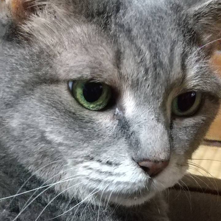 A488f90a 4b1f 4a00 a6b5 70685dcebc1a 1630739323979