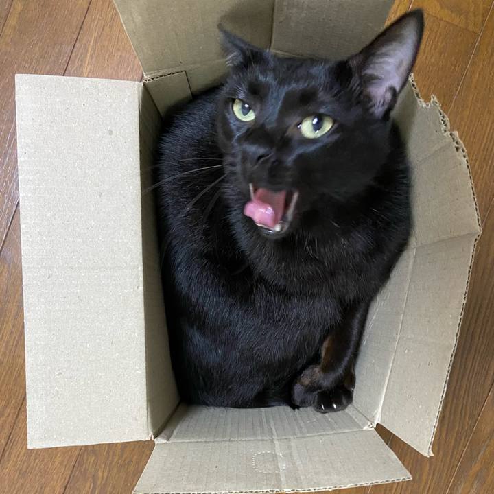 A489095f 087c 4fdb 8afe a29b154a34db 1666357076437