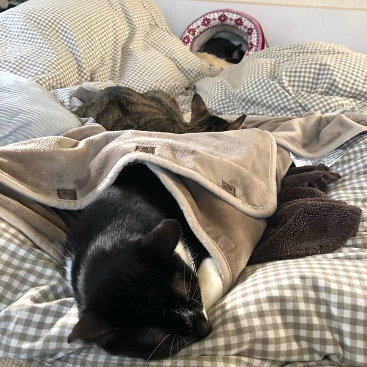 A4890992 9e72 4616 8d71 5693eac21d06 1607738322295