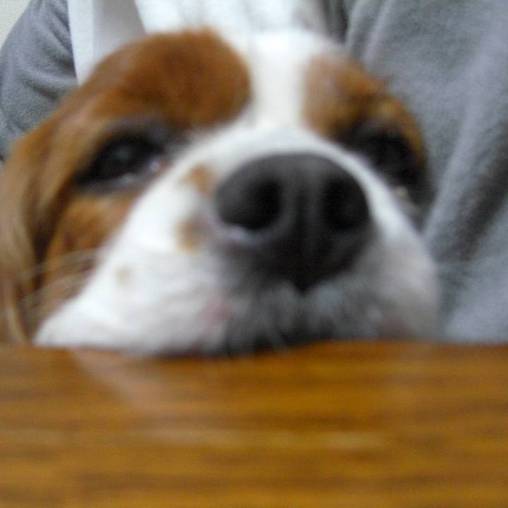 A48952d1 8641 4a43 a3d9 86694f6d6a74 1552830120952