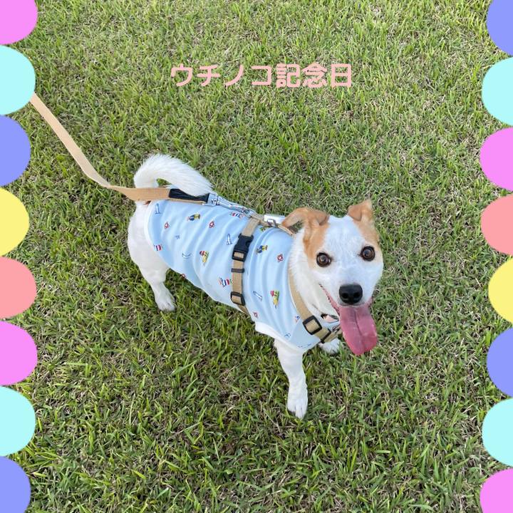 A4895f27 d9d5 4225 91b6 010de8728c3a 1635907013932