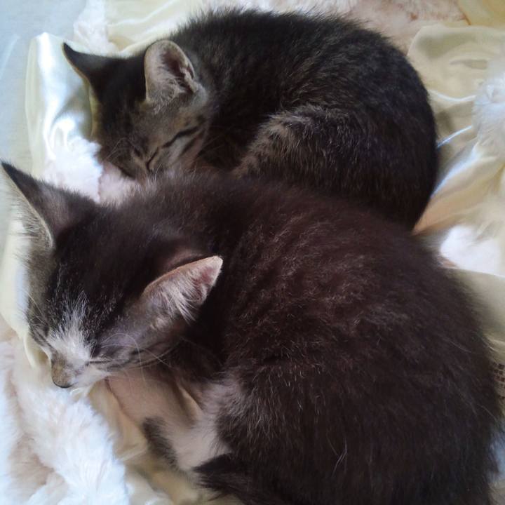 A4897036 3581 4304 a3d3 3bc18a92f9aa 1610430668521