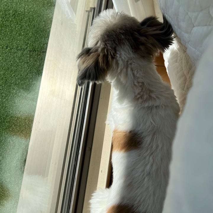 A4897490 8d37 4ccc 8f78 e9e486e51e85 1674694098641