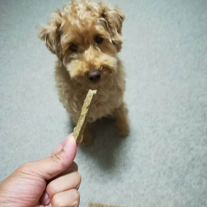 A489c85c bdc6 488f bab9 85702c42a70a 1532433300467