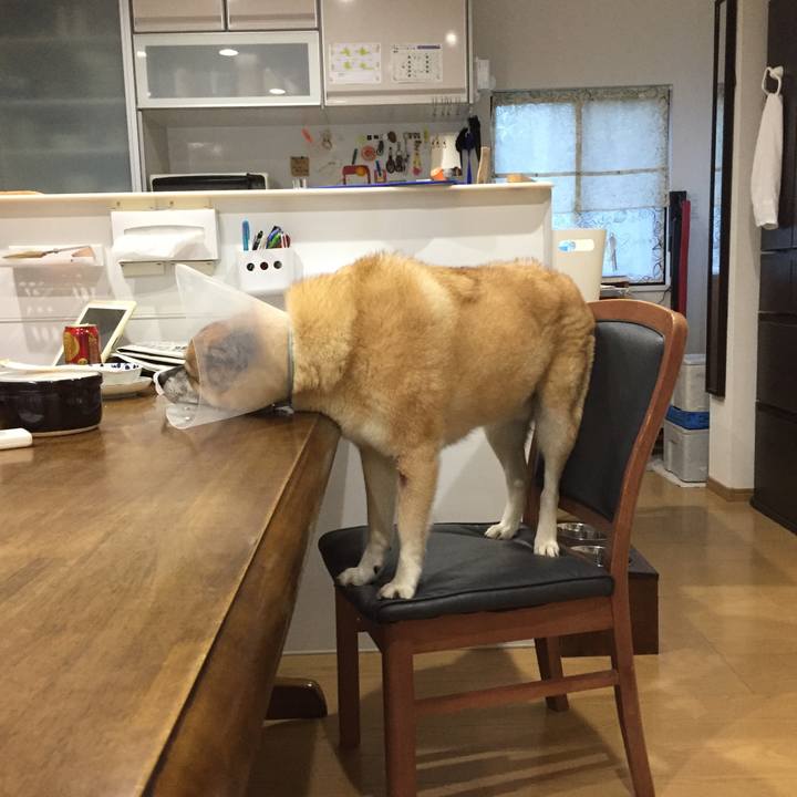 A48a0bf8 5099 4017 a42c c6bb937bcccd 1599298315954