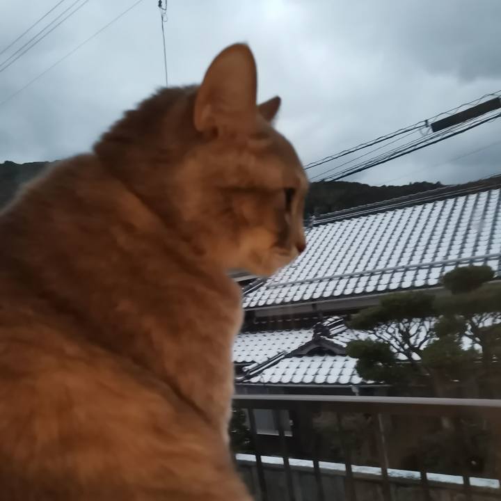 A48aaa28 c032 427e 8dc7 40a9dbbdf99a 1609374220485