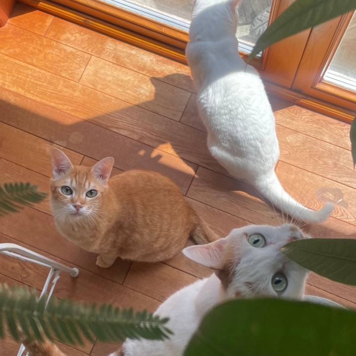 A48ab732 0f7f 43b6 81fa 8d409862175f 1692064624201