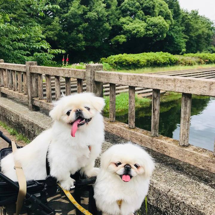 A48b04c1 dcce 4ca1 b59a 231e792401a9 1622631411065