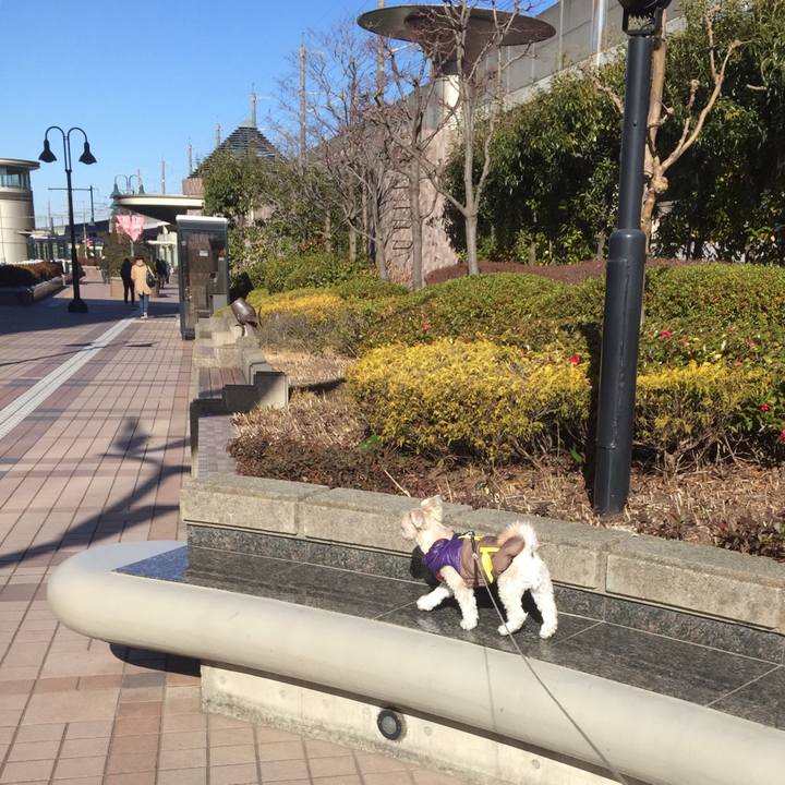 A48b43f5 fc06 47d9 b3a8 472068a59cb6 1514892488755