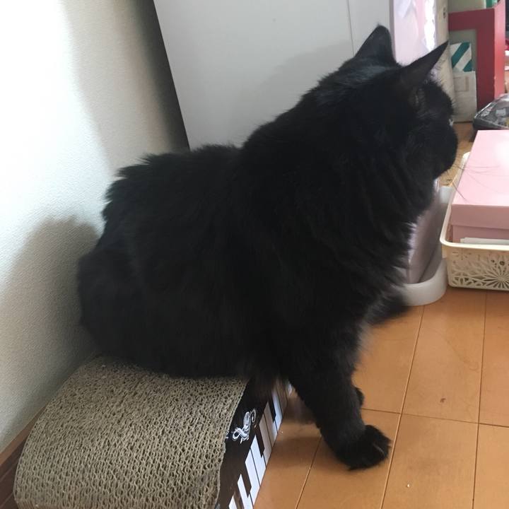 A48b4bc7 c628 4fba a922 cf91517333c1 1533350428882