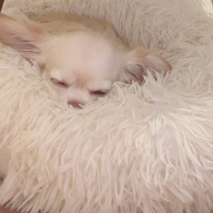 A48b4f37 a37b 40be 82e7 37d8501d0743 1745923776464