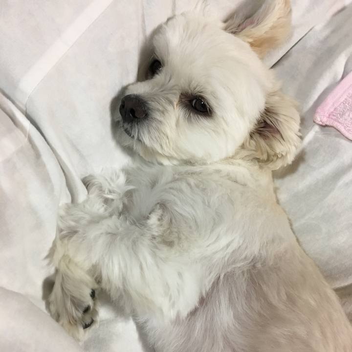 A48b87c7 0062 47ea a920 13bbd53c658e 1509280815317