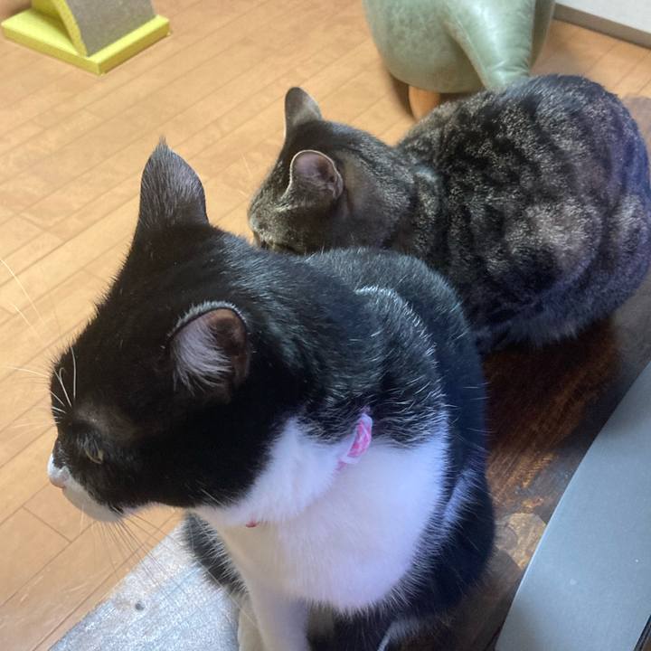 A48b8923 6ffb 4b13 b173 120cbae1c6ec 1603354662209