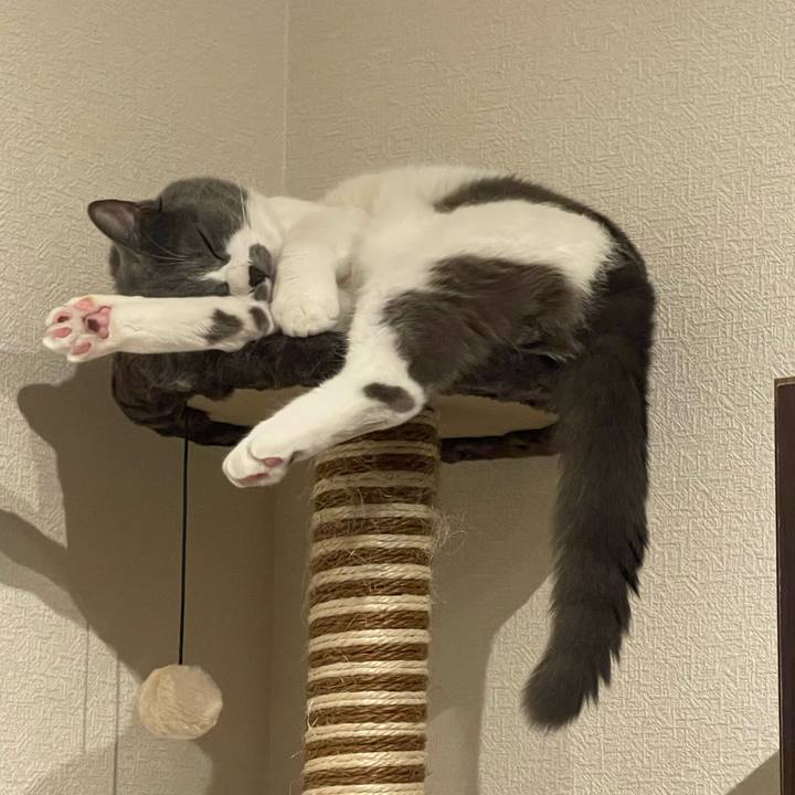 A48b893c ece3 4d90 899c c1fc5192ec6a 1694527919098