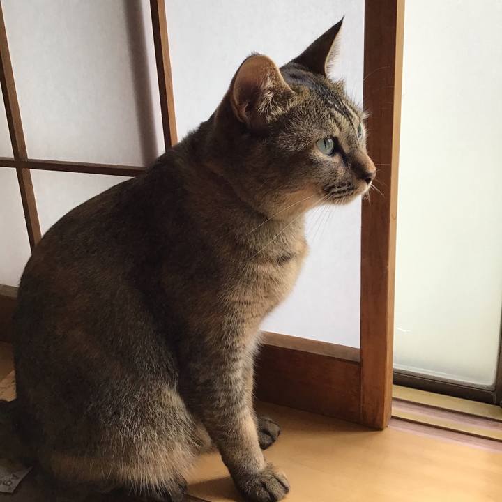 A48bb984 2eb8 4fac 8c25 744f2af4749d 1631075546510