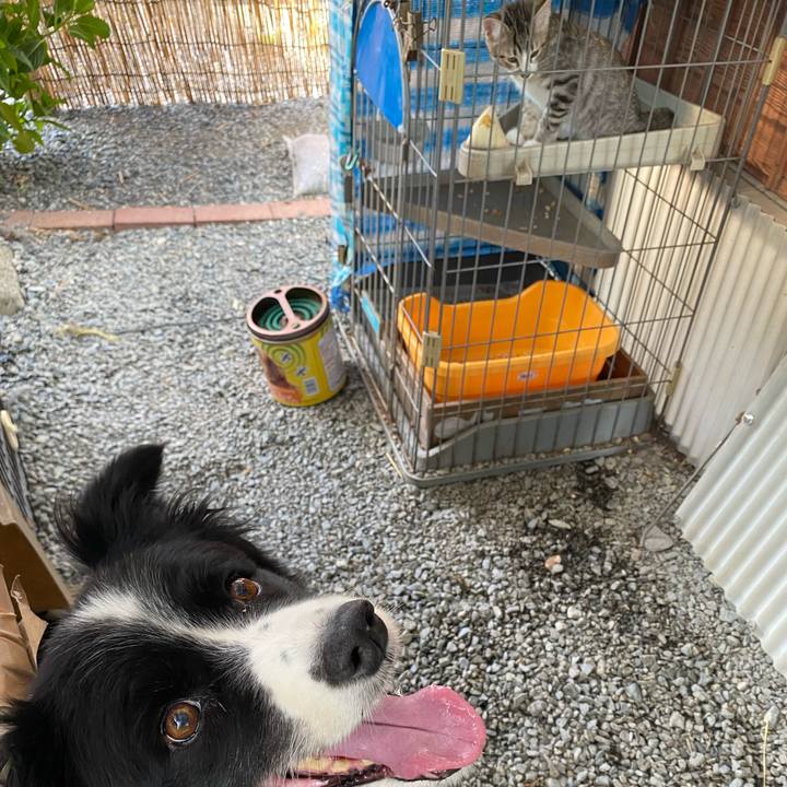 A48bf7ae 4d04 4ef5 ba08 de06f7a2a665 1626825790855