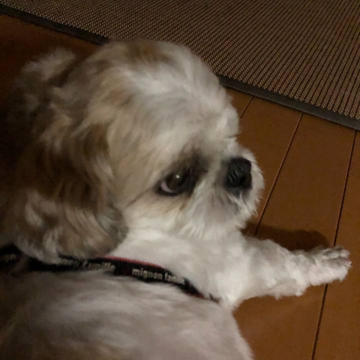 A48c4ba9 354e 41ed a431 db5b4c942320 1569111599239