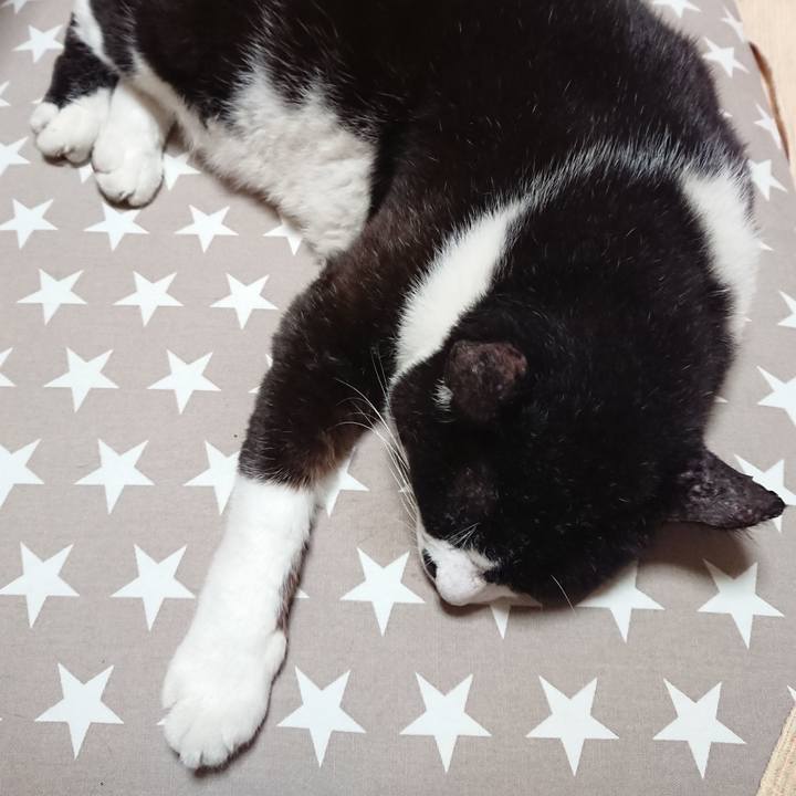 A48c9fad a005 4343 95a6 a2f1c7bf6fd3 1632788028544