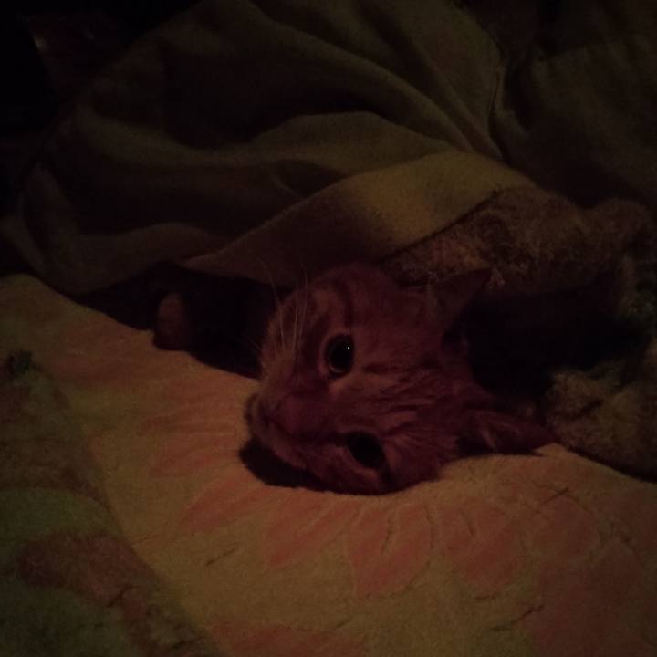 A48ca178 8a60 4e82 a6e6 6890da02696d 1674857920965