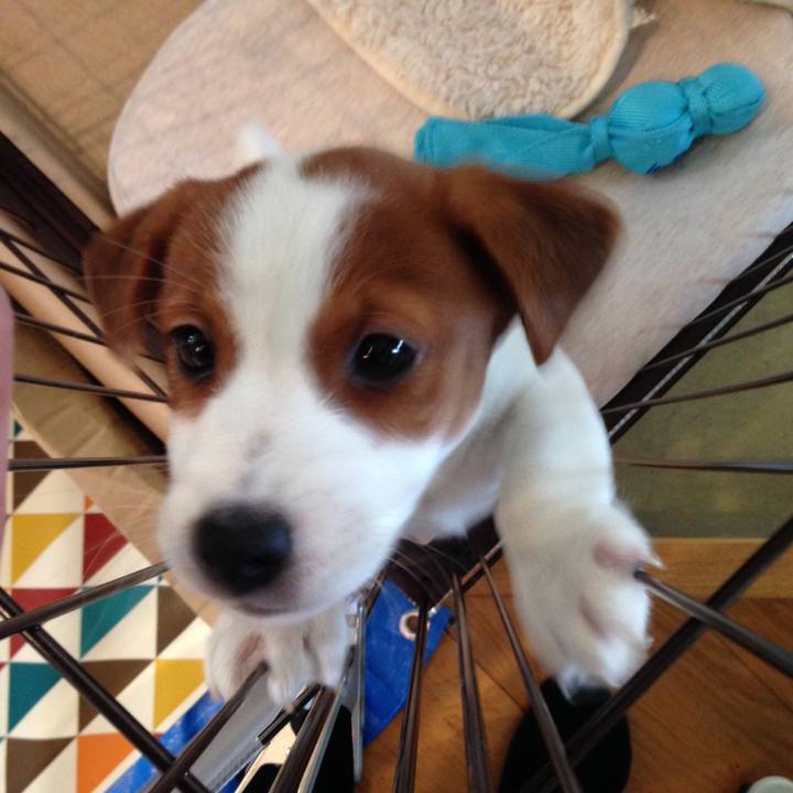 A48cff40 02e7 416c 8415 d8a77108935f 1535963194469