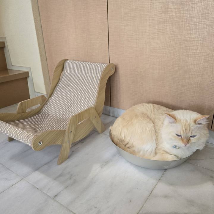 A48d4da6 d754 4673 a723 ca08105b0f9d 1755671681959