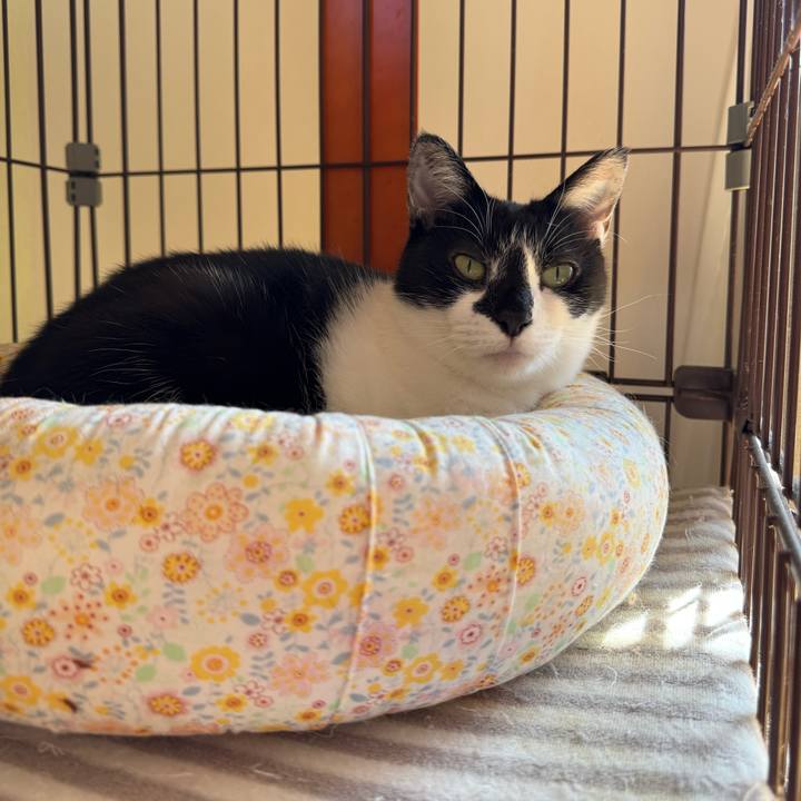 A48d68ed 8a2c 498b b665 1daf9743bebb 1772764597269