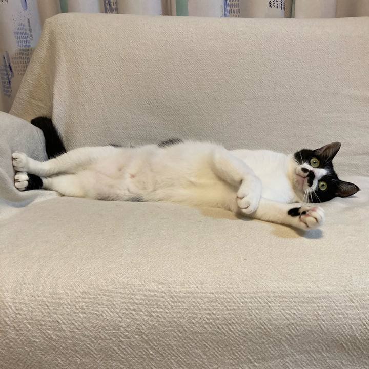 A48d809e 16cf 428e b758 f7b1d88068bf 1757930735052