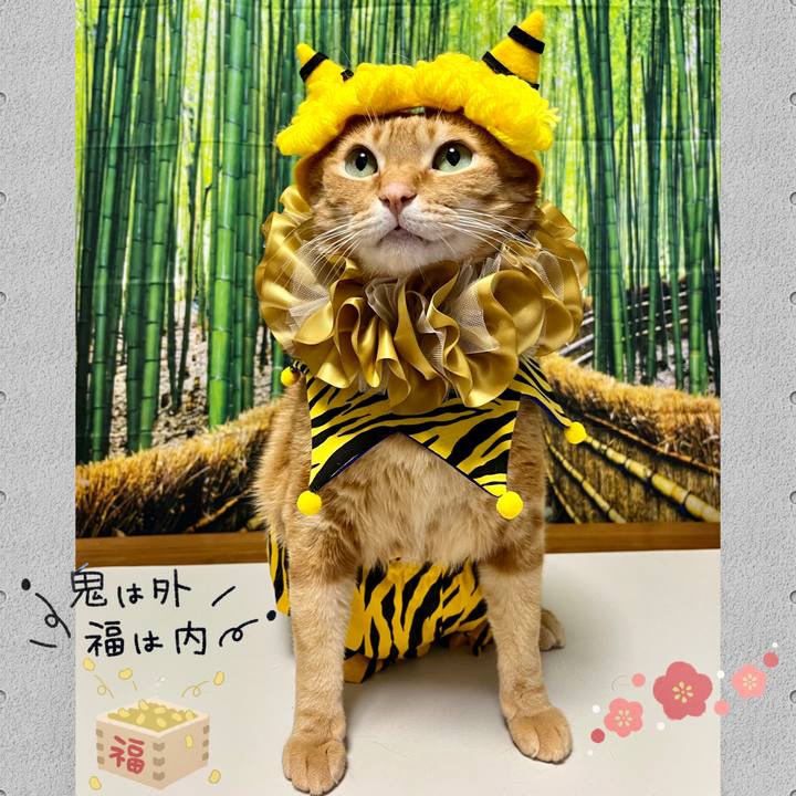 A48d85a4 4521 444b a162 3c1247e8dc18 1675373883402