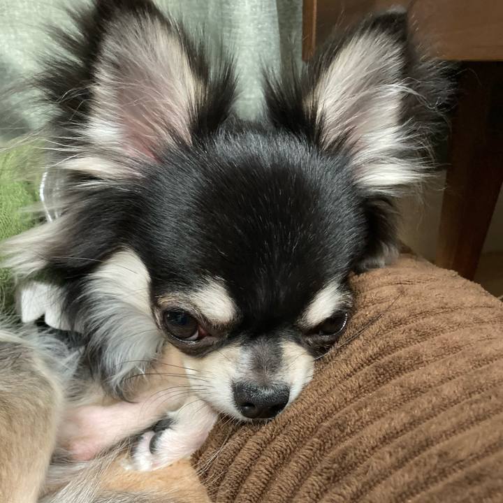 A48d8706 bd9d 4bd5 b56e 557c7705f58e 1611465260591