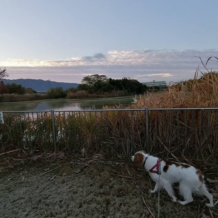 A48d8ac6 fd2f 4b3b b63e 30a008e24d5b 1575504198858