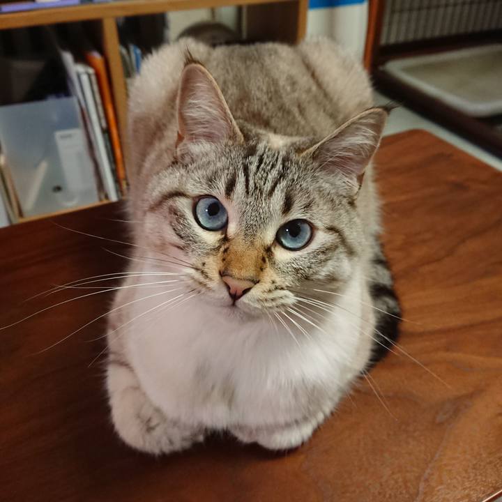 A48dacde 7dab 4b3e a9b2 2c4dd487c927 1590061983362