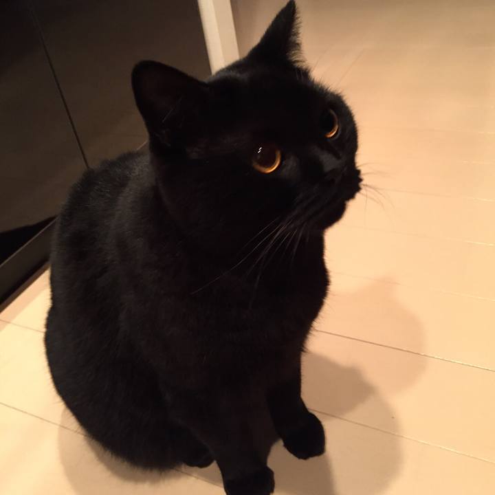 A48db3e1 a58f 406a afe6 f310a2b54d0f 1539865859261