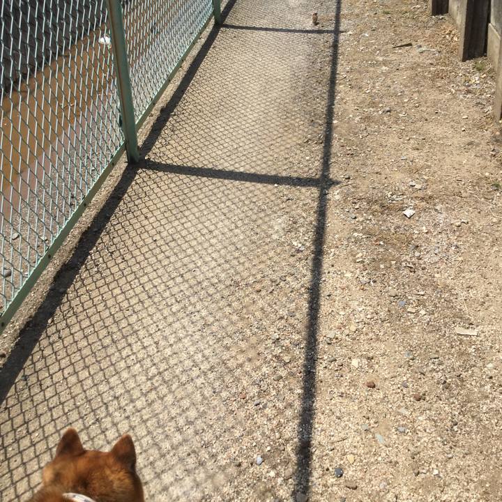 A48dd834 cf9c 43ed 8a5b 3f12dd238252 1619495250036