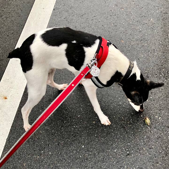 A48ddafa 91ff 4cc5 88db dc659c9ab5d0 1562194740669