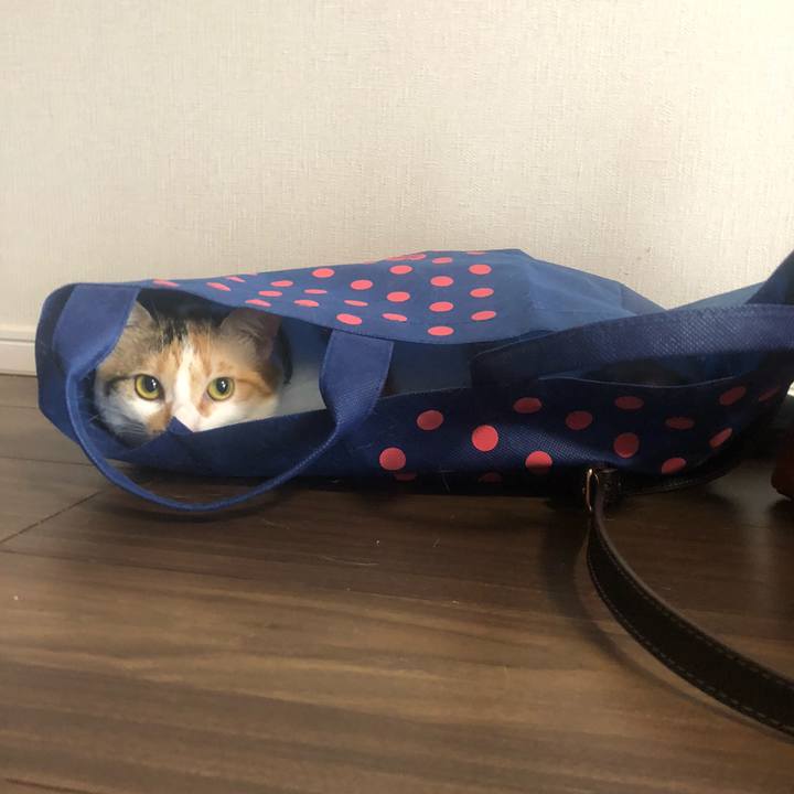 A48de7a7 247b 4da5 9535 ede4c897e615 1594078435184