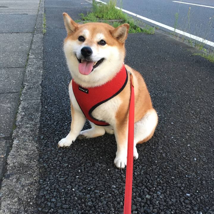 A48dfa84 f22f 4b97 b9f0 8f452444acfe 1595155533853