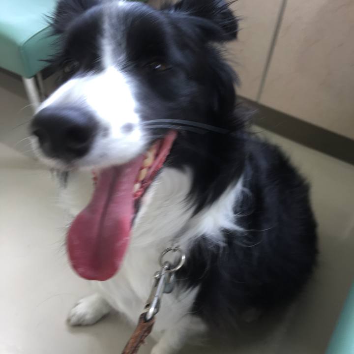 A48e066a 5718 4f52 be27 eecd76d674ab 1523072306353