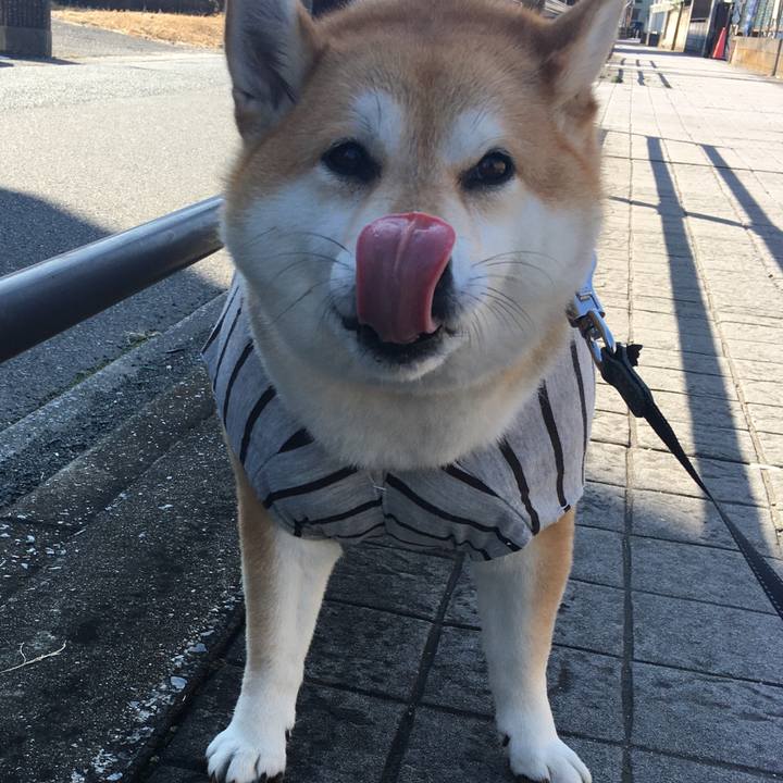 A48e1741 c8f9 4587 92c0 bd404d59470f 1573355938072