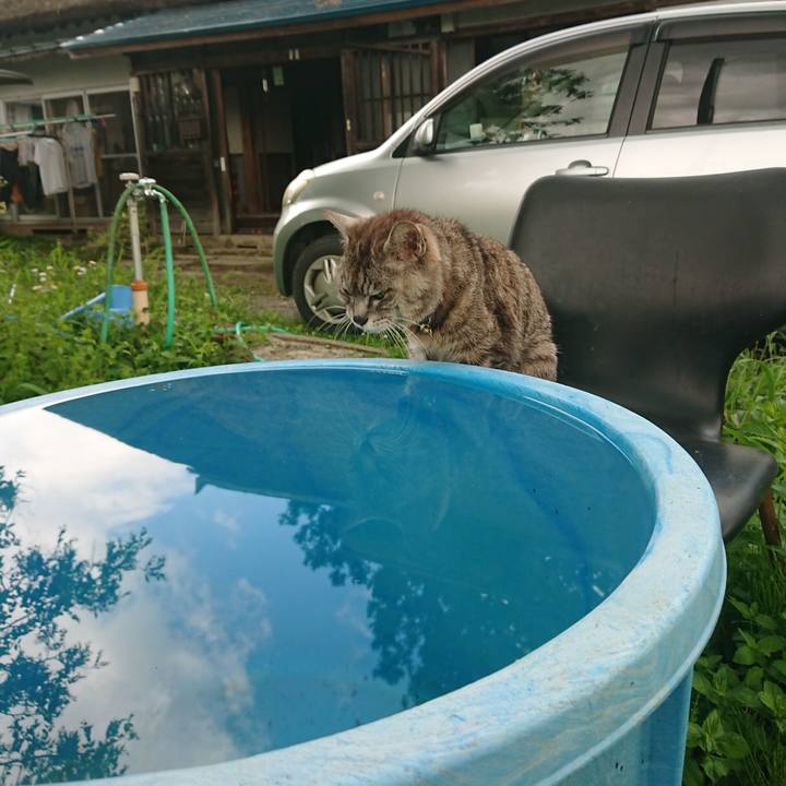 A48e1da1 0d1d 494b 87dc 56f7b7c3459b 1597378515871