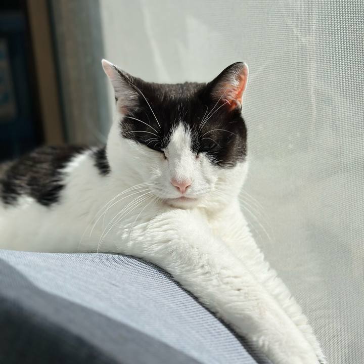 A48e21a3 e1ab 4529 90a5 487eee461572 1716947899963