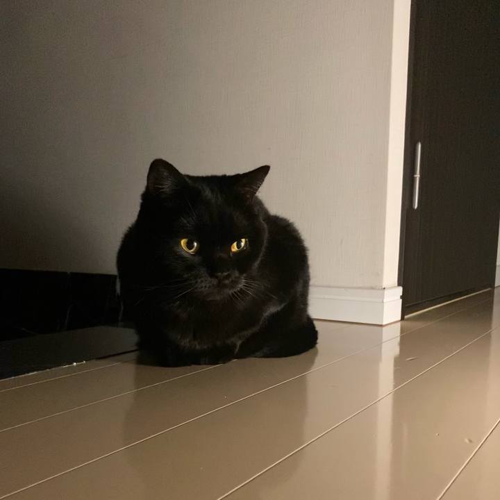 A48e22eb daa0 4ec3 b0f6 531de533fc99 1654865685143