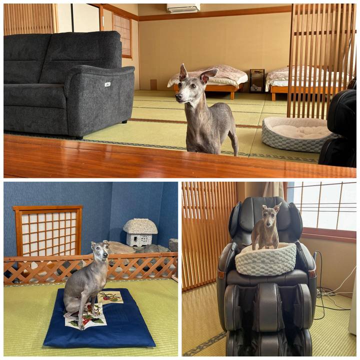 A48e260c c032 4a66 a6ca 9d46fe976dc3 1774429681034