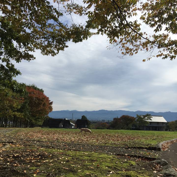 A48e34b8 1a1a 45e7 b49a a62db5a224a3 1509502941302