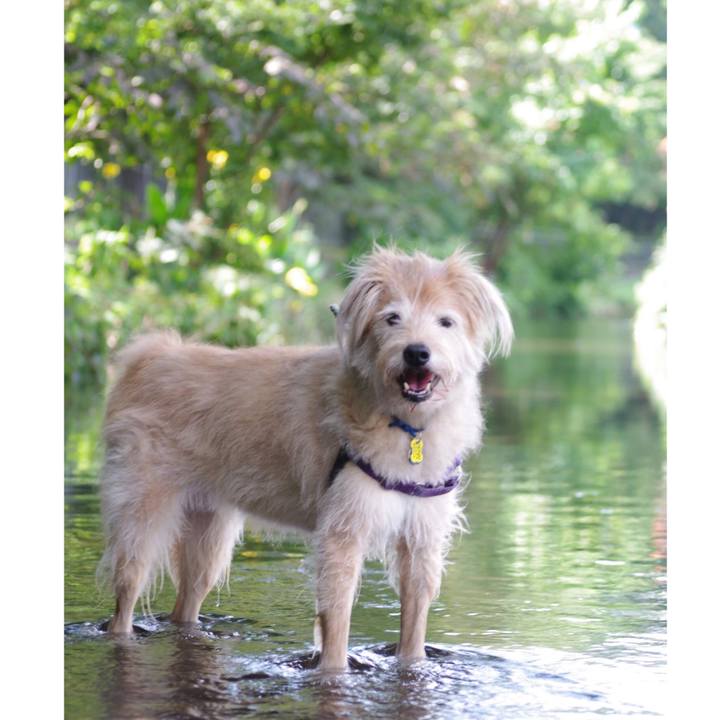 A48e3a42 de11 4f98 9cb9 12b0154c98f7 1567953141871