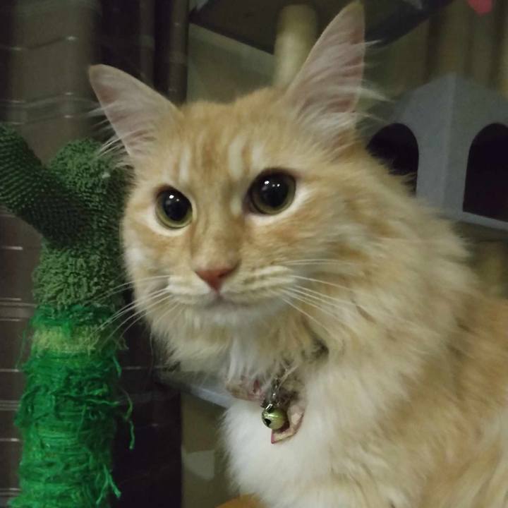 A48e916e 0d48 47b9 8fc9 afa0bfa261ce 1690639053694