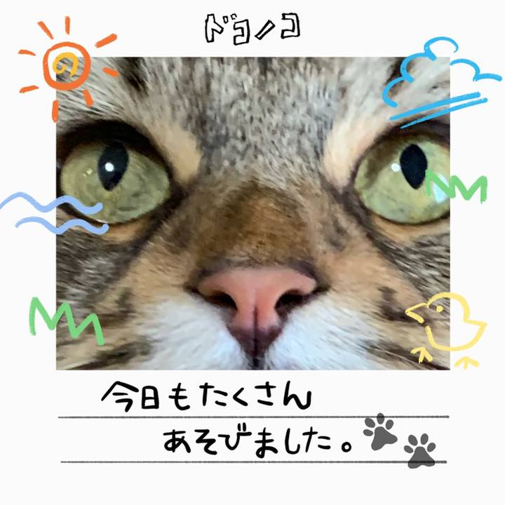 A48eb5e8 af90 478f 9492 0091bd3c7d8b 1755298126914